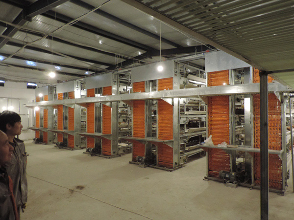 層疊式蛋雞籠養(yǎng)養(yǎng)雞設備